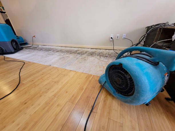 Professional Water Damage Repair technician working in Nottingham, NH